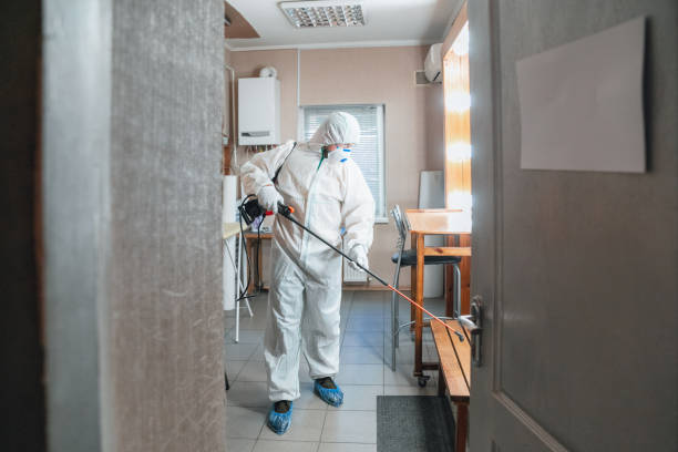 Best Commercial Mold Inspection  in Golden Gate, FL