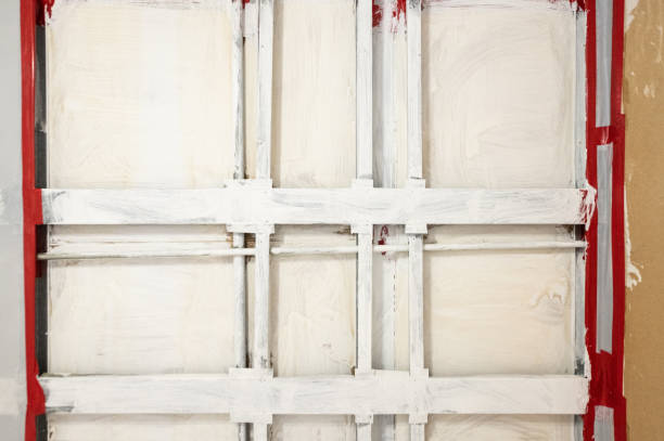 Best Mold Damage Restoration  in Golden Gate, FL